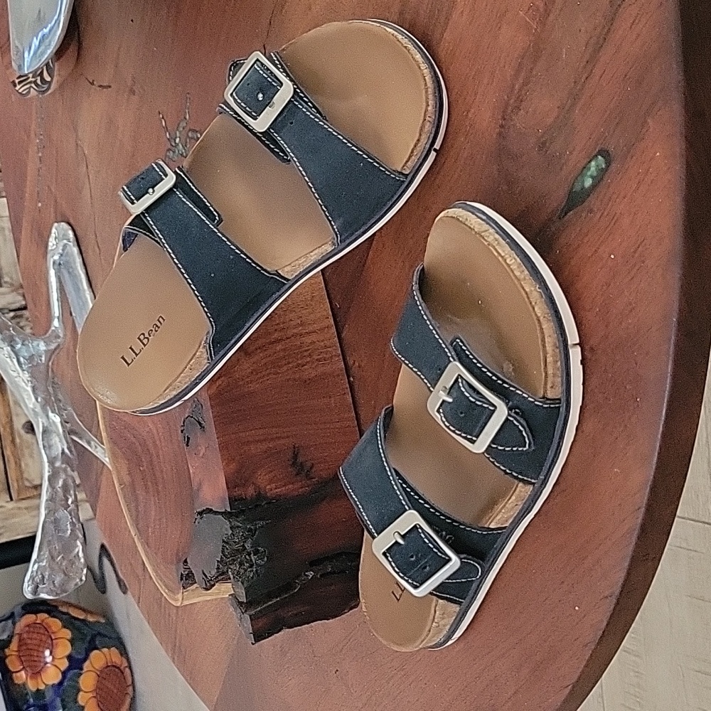 L.L. Bean Women's Eco Comfort Sandal Slide, Blue Leather, Double Strap Buckle 7